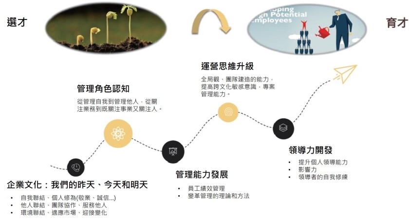 四階段標準化成長地圖